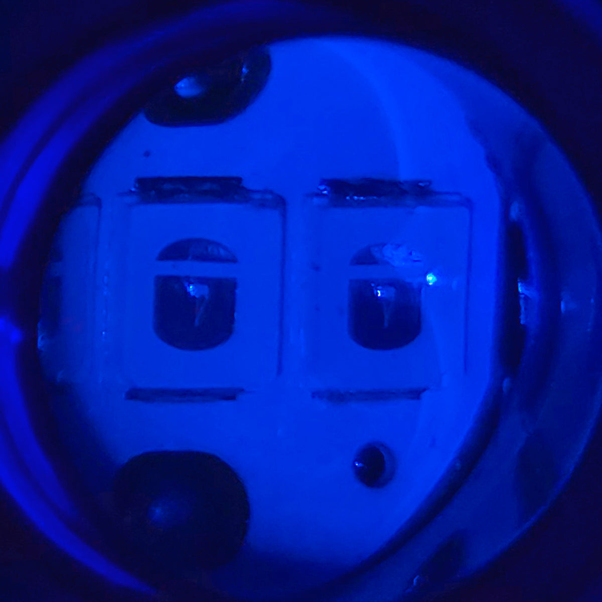 LUZ DE CRUCERO 12V AZUL 10 PZAS